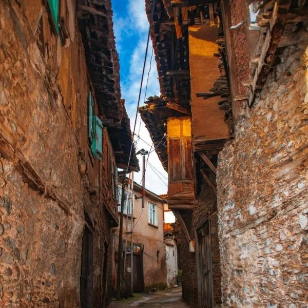 Scalabrinians Special Event